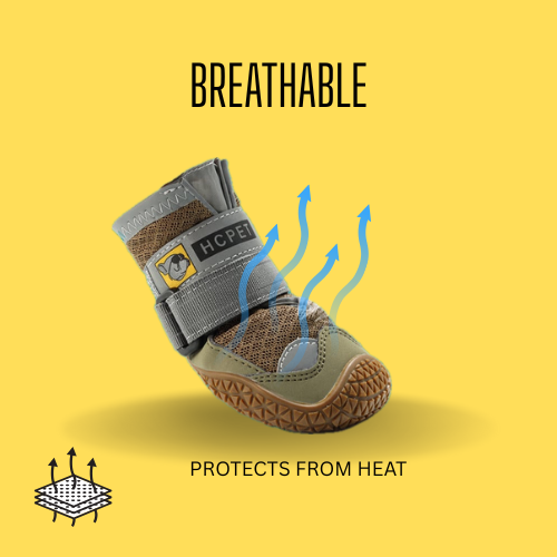 Breathable Summer Dog Shoes
